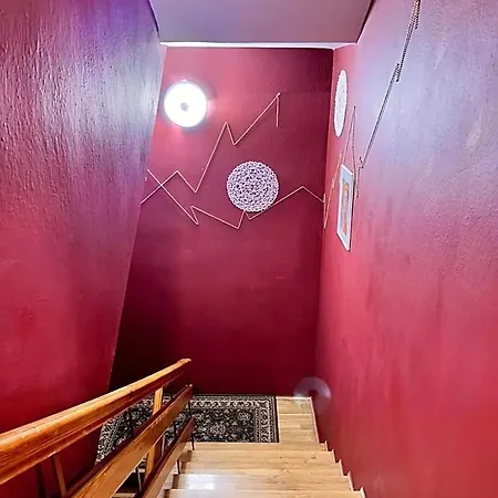 Vector